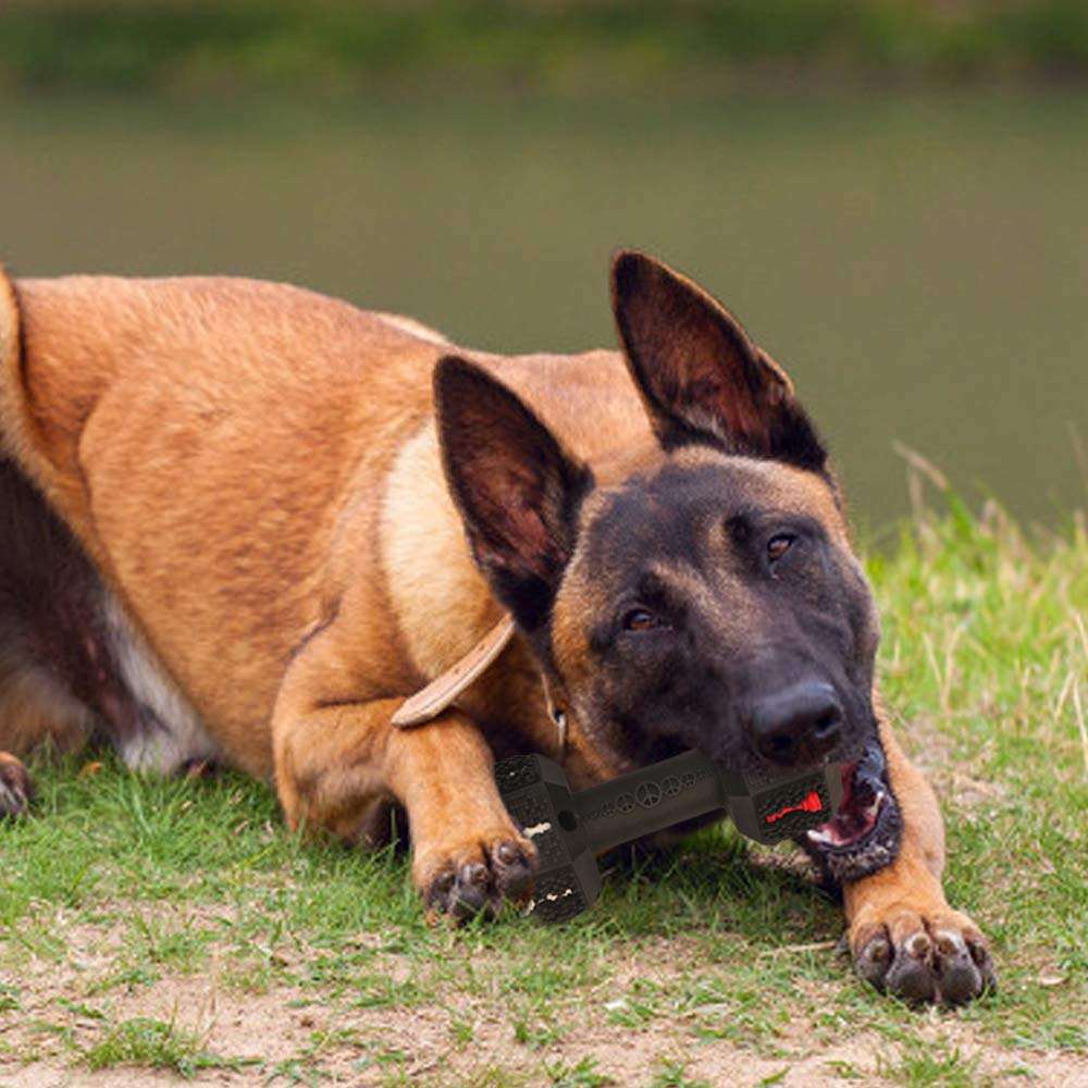 Durable Food-Grade Chew Toy for Medium & Large Dogs