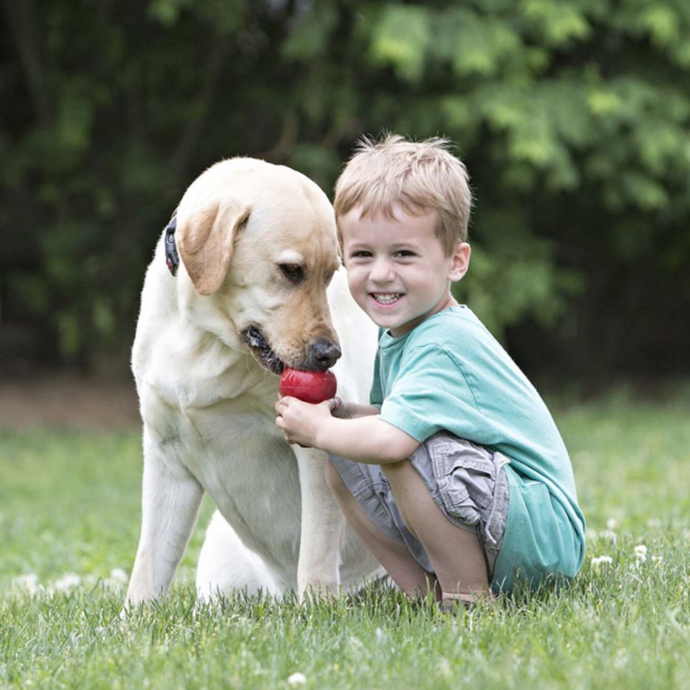 Gourd-Shaped Bite-Resistant Food-Dispensing Dog Toy