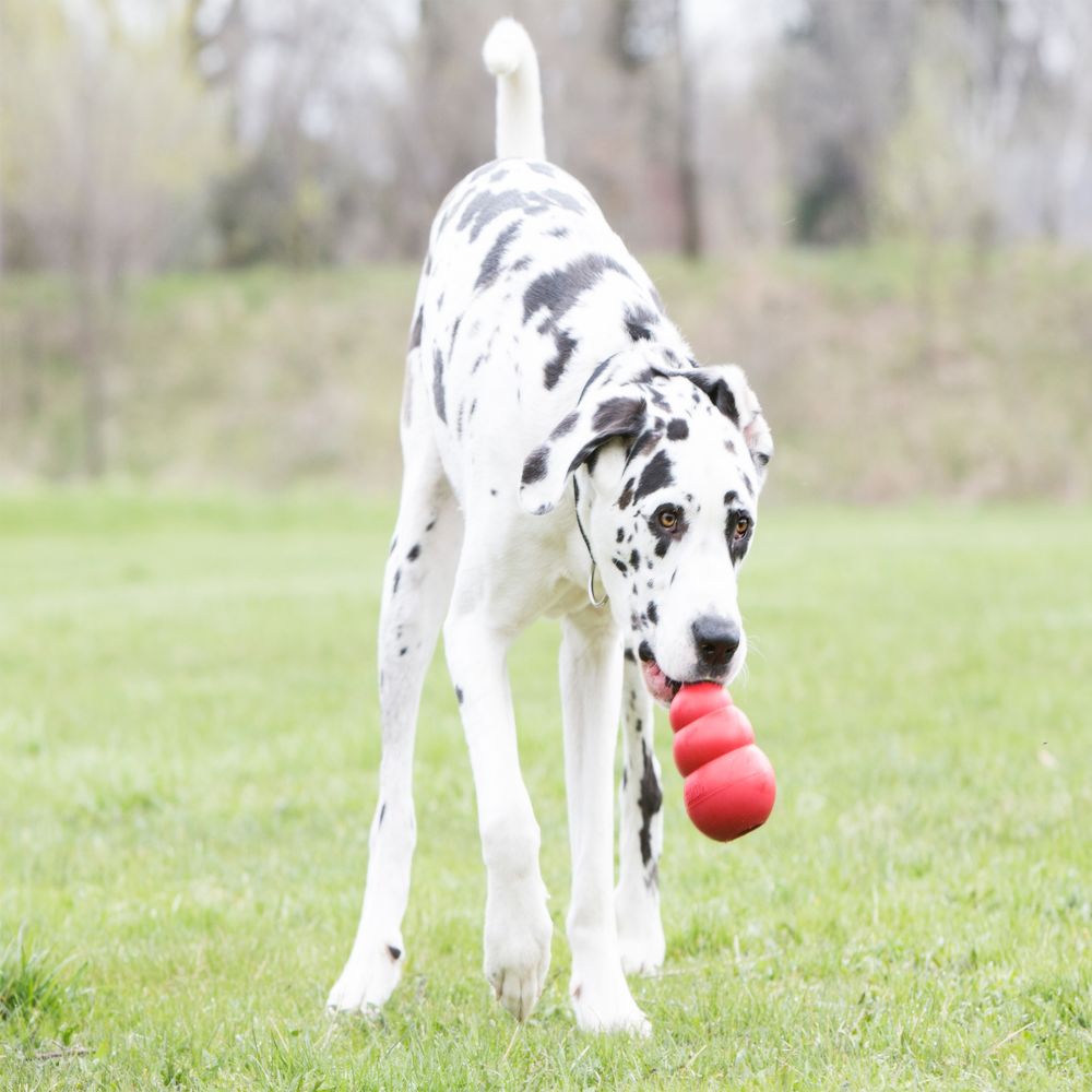 Gourd-Shaped Bite-Resistant Food-Dispensing Dog Toy