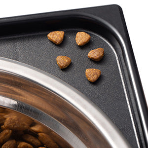 Adjustable Elevated Dog Feeding Bowl with Neck Protection