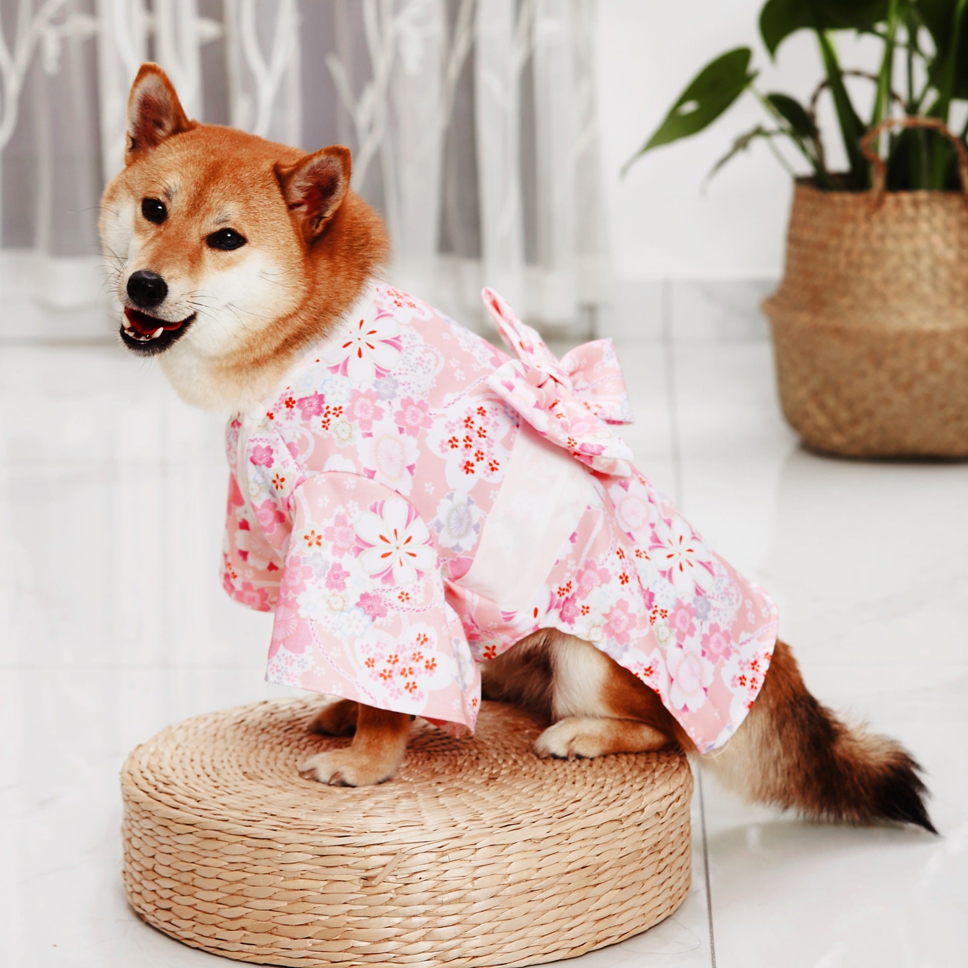 Stylish Kimono-Inspired Clothes for Cats Fashionable Pet Outfit