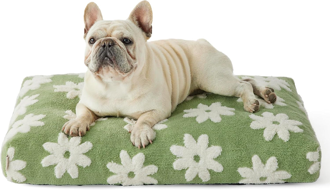 Large Shredded Foam Dog Bed with Removable Cover, Anti-Slip