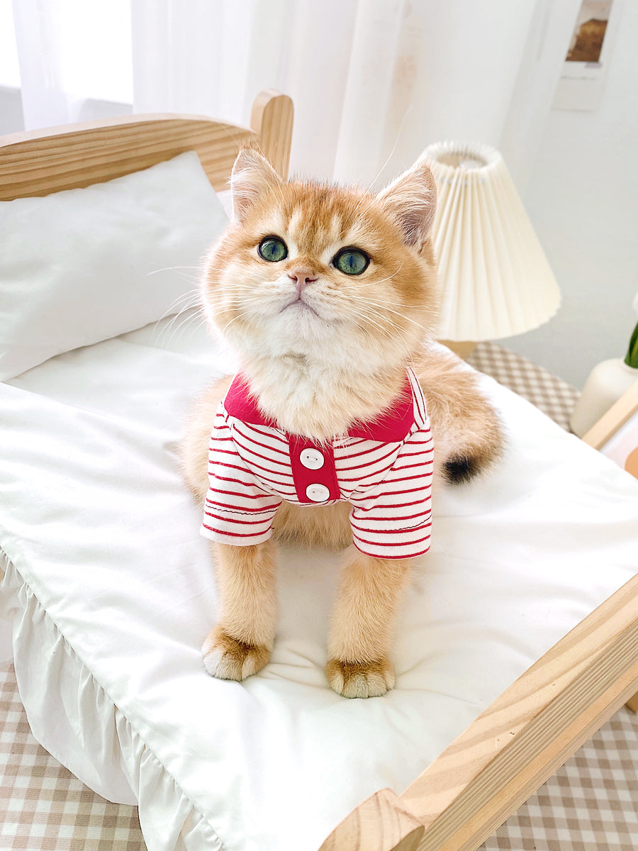 Adorable Striped Polo Shirt for Cats Keeping Them Stylish Comfortable