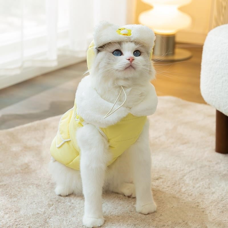 Thickened Cotton-Padded Autumn & Winter Cat Clothes, Anti-Lint