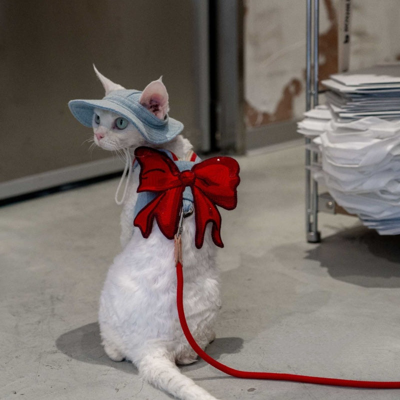 Sphynx Cat Chest Harness with Red Bow and Matching Leash