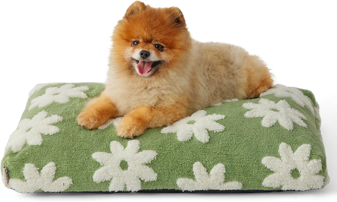 Large Shredded Foam Dog Bed with Removable Cover, Anti-Slip