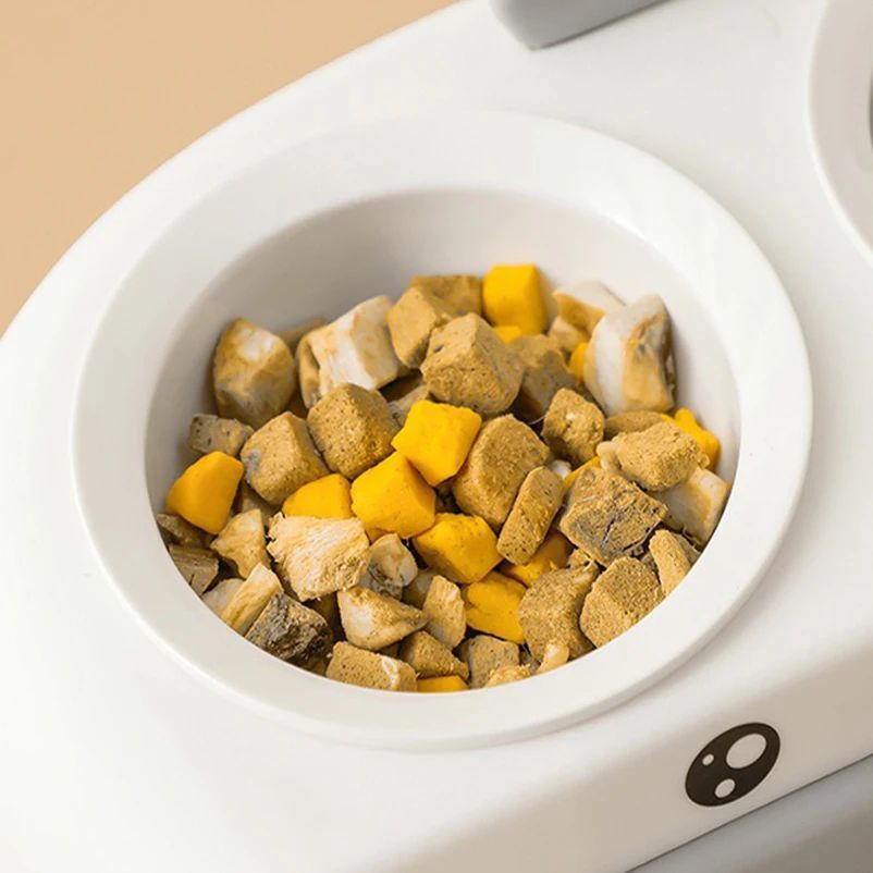 Duck-Shaped Double Pet Bowl for Cats & Dogs
