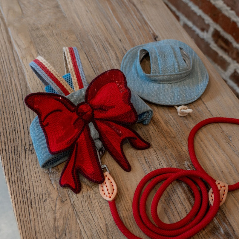 Sphynx Cat Chest Harness with Red Bow and Matching Leash