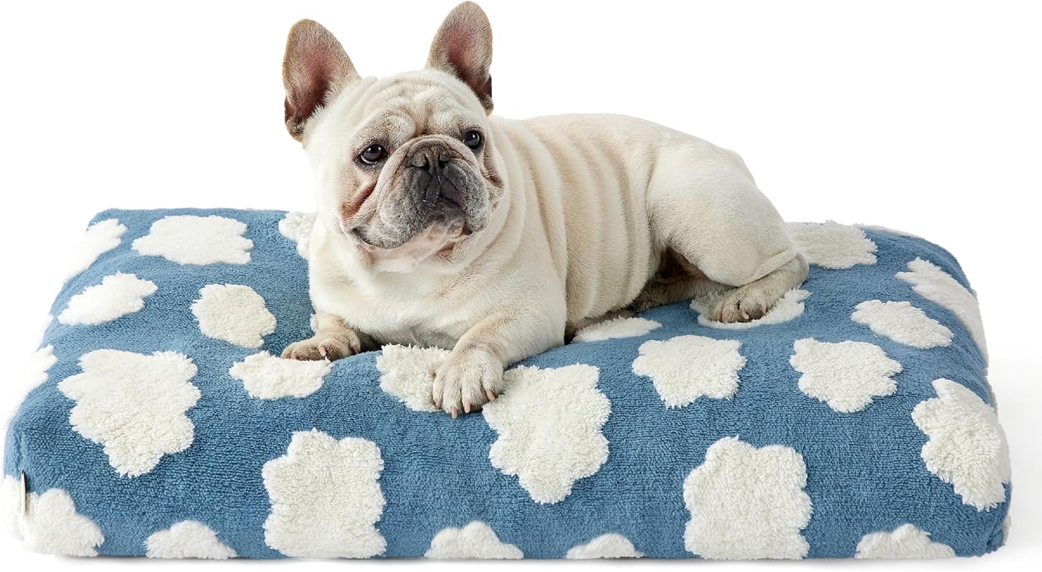 Large Shredded Foam Dog Bed with Removable Cover, Anti-Slip