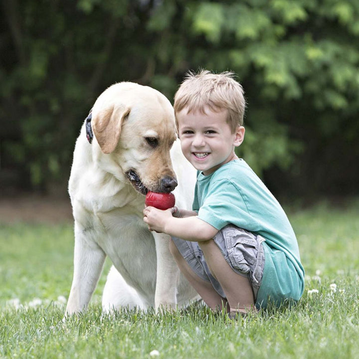 Gourd-Shaped Bite-Resistant Food-Dispensing Dog Toy