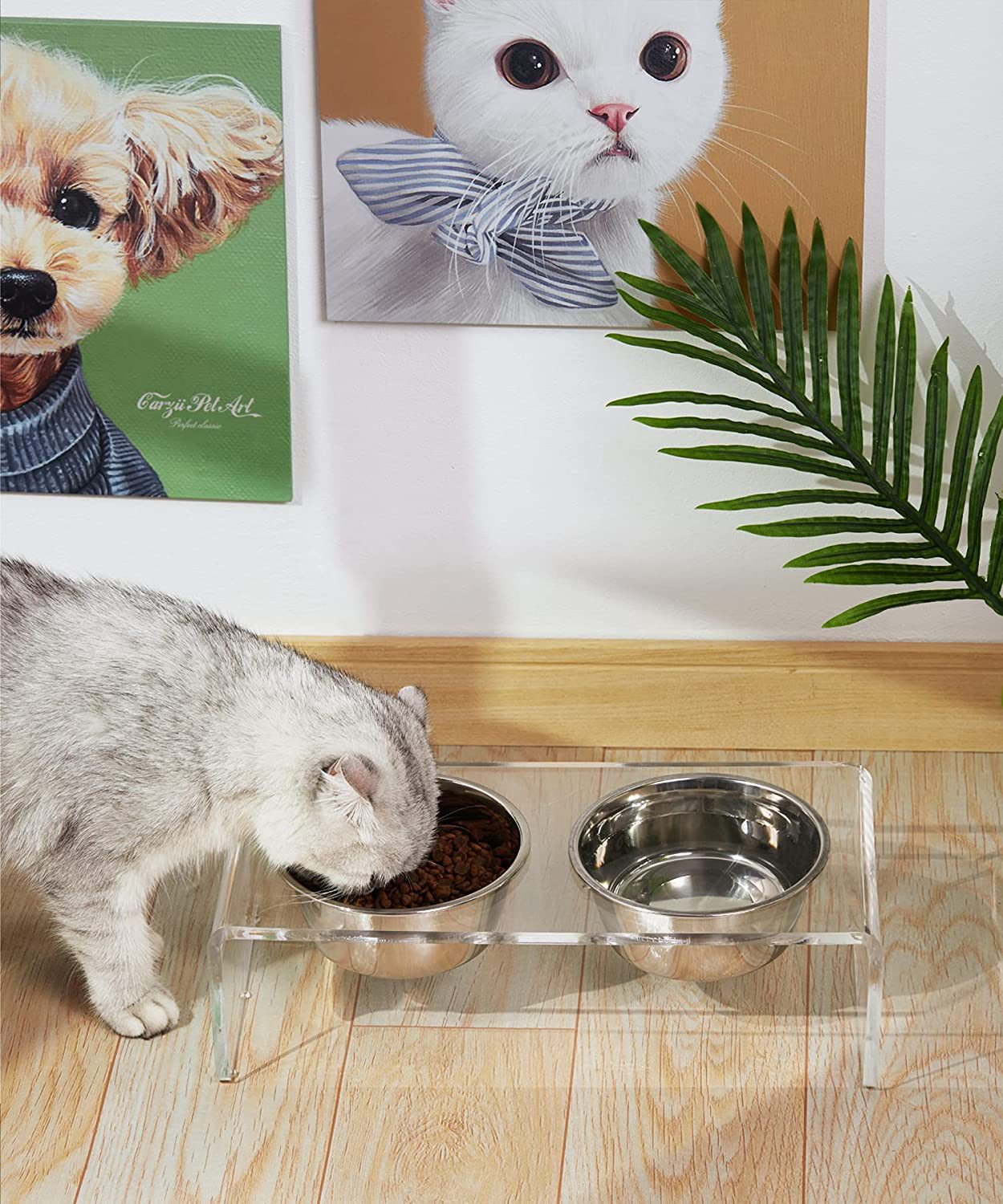 Acrylic Pet Feeding Rack for Small Cats & Dogs