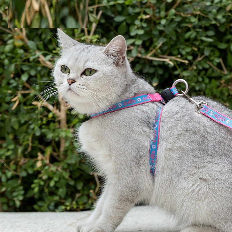 Chest Strap Harness with Bell and Leash for Small Dogs and Cats
