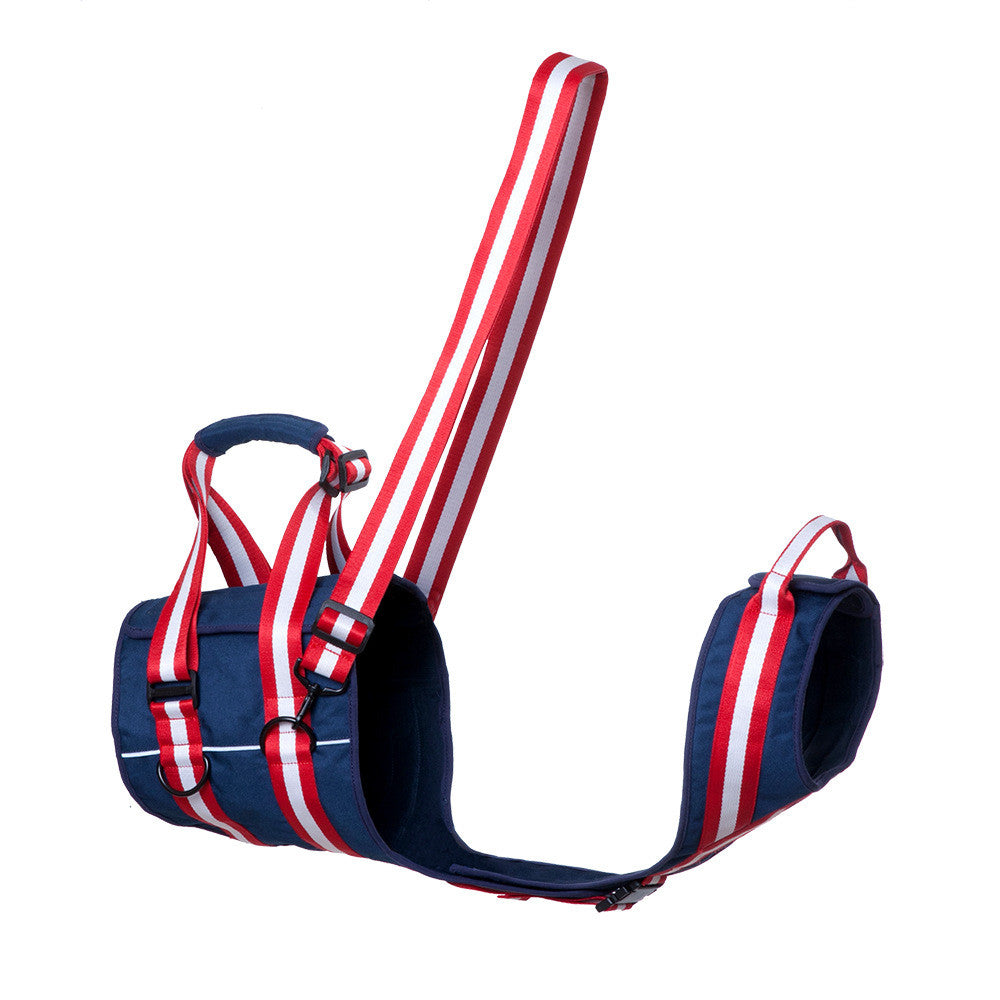 Supportive Harness & Leash for Elderly Dogs