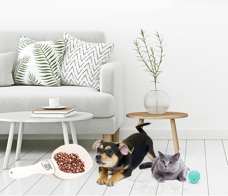 Pet Food Measuring & Weighing Spoon