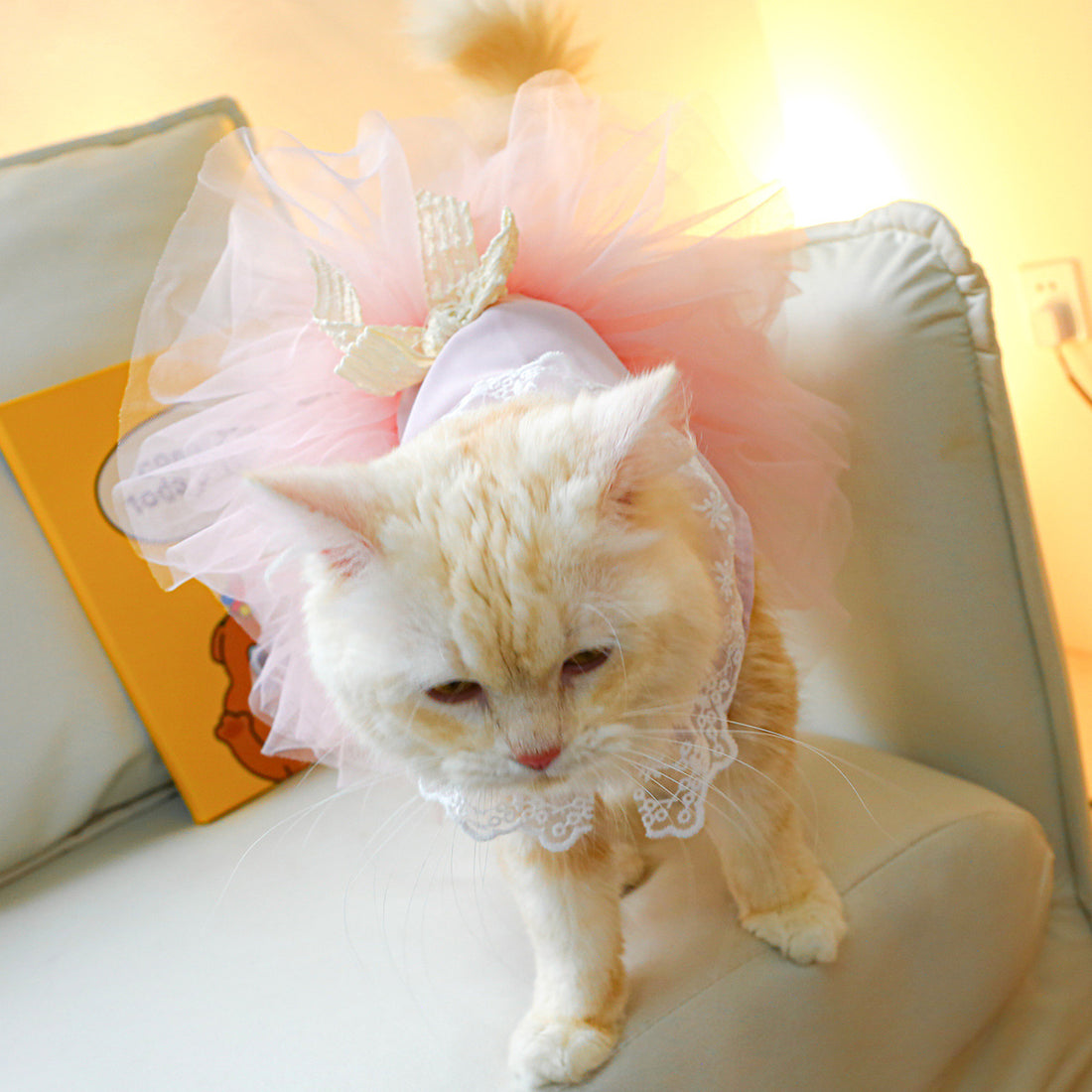 Lace-Designed Cat Clothes for Stylish and Elegant Pets