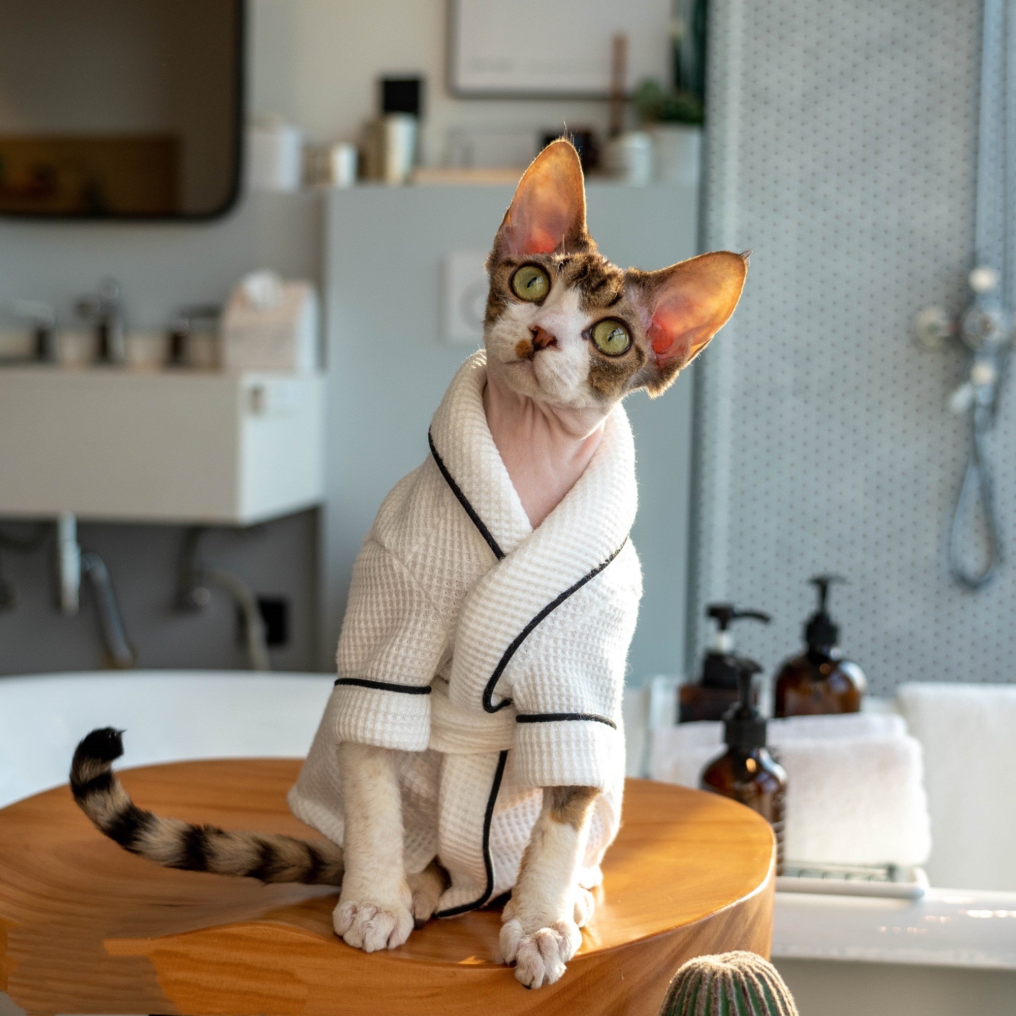 Soft Highly Absorbent Pet Bathrobe and Towel