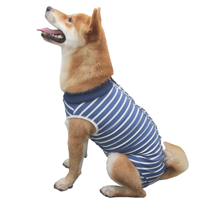 Fashionable and Colorful Pet Clothes Showing Unique Personality Style