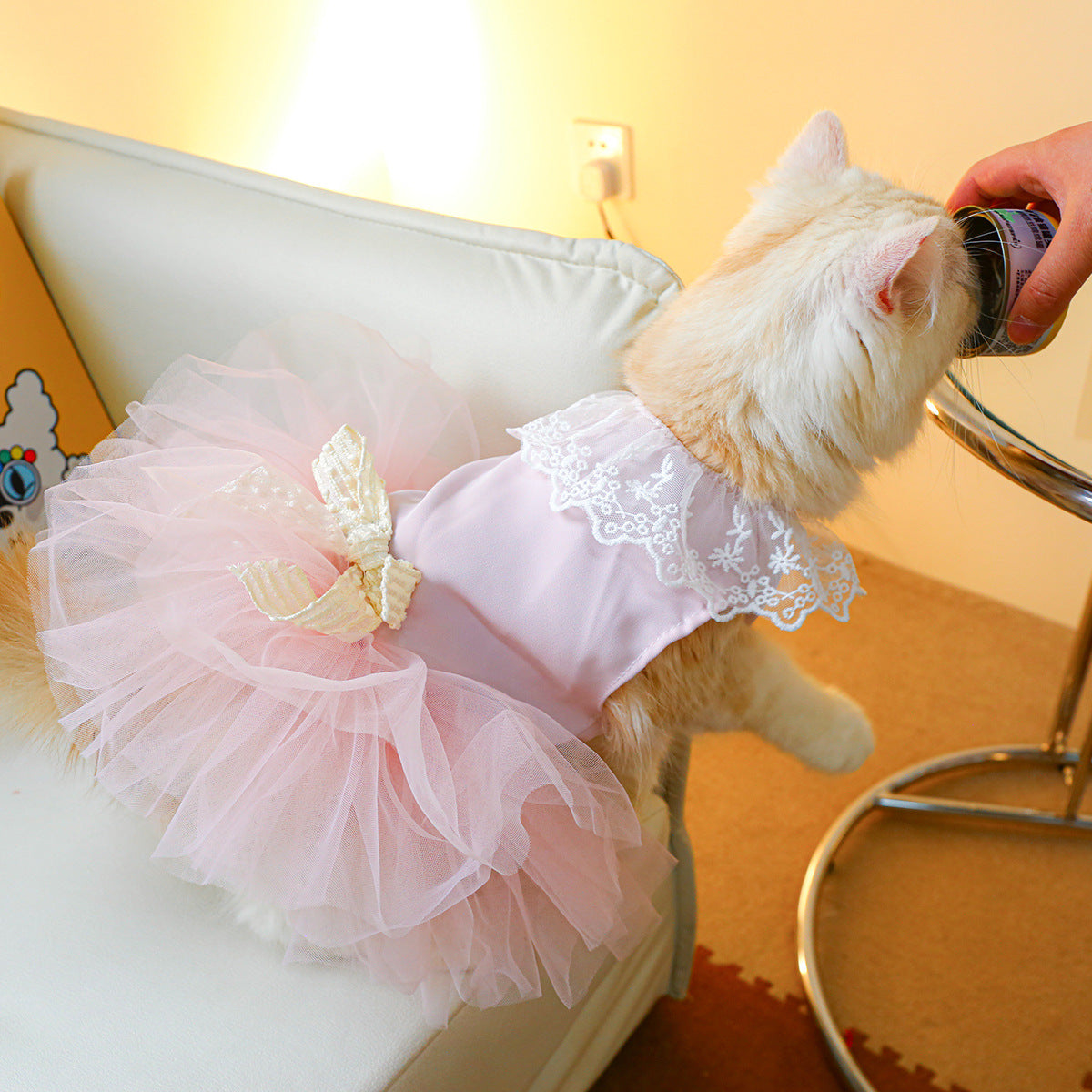 Lace-Designed Cat Clothes for Stylish and Elegant Pets