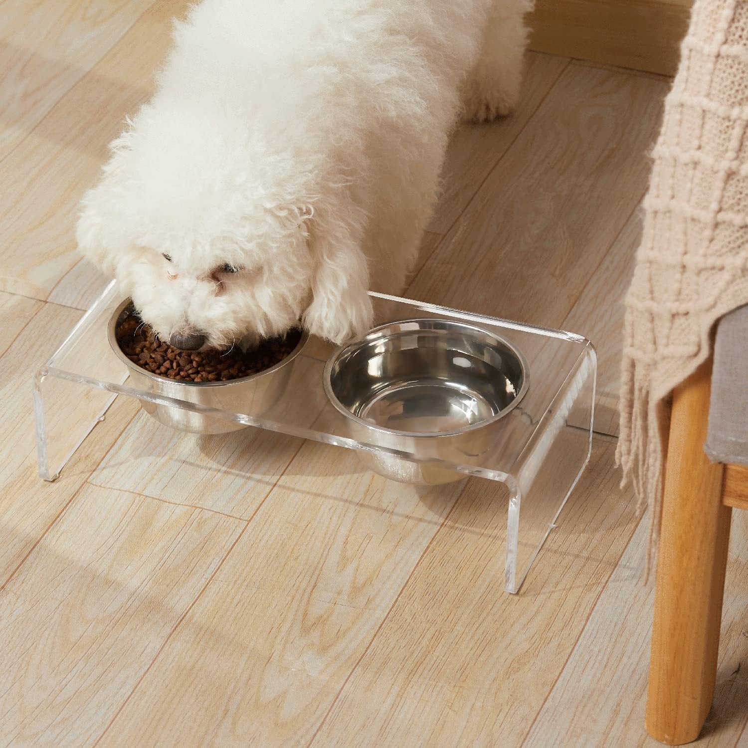 Acrylic Pet Feeding Rack for Small Cats & Dogs