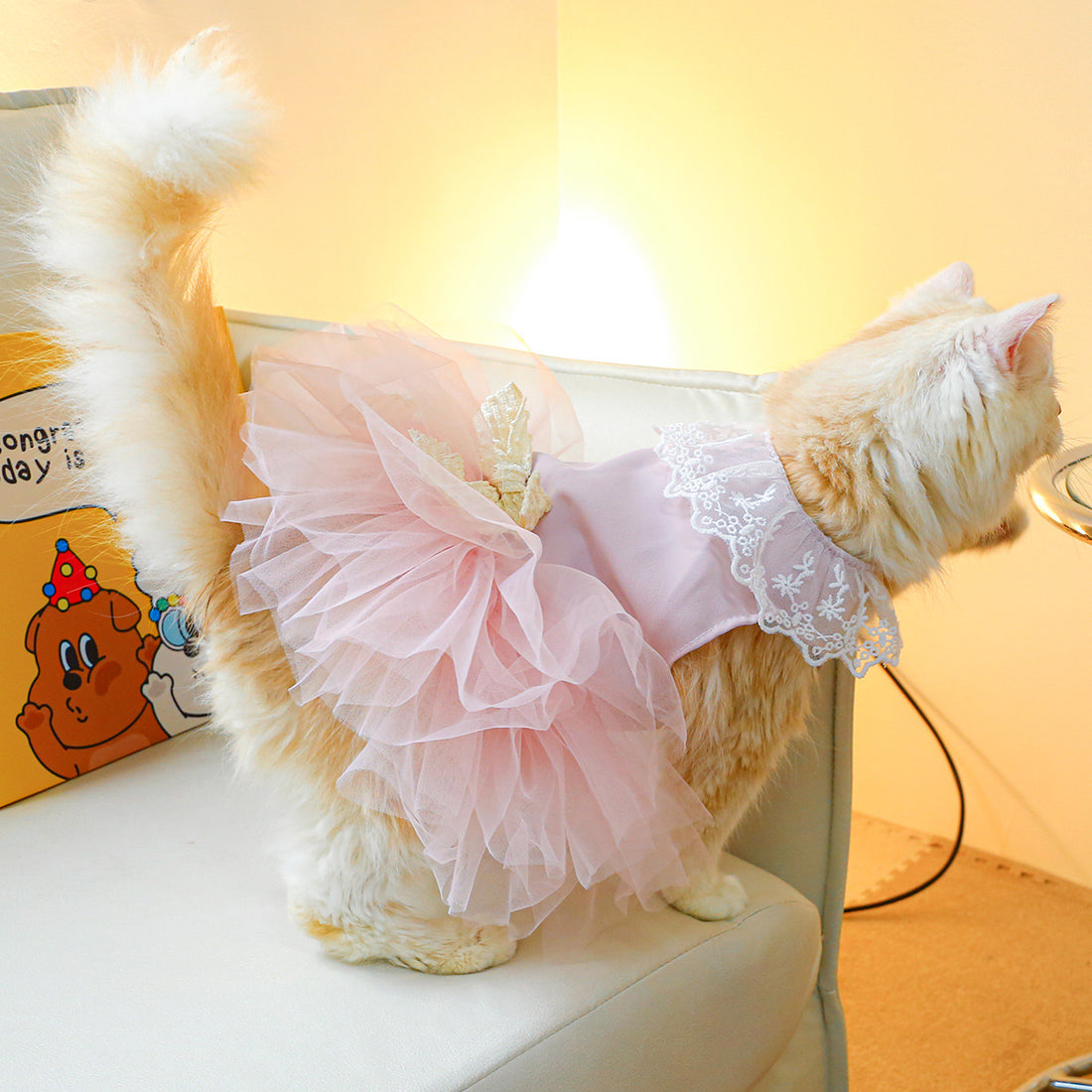 Lace-Designed Cat Clothes for Stylish and Elegant Pets