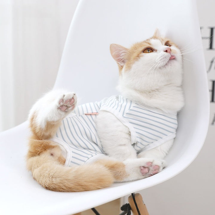 Seasonal Thin Cat Clothes Preventing Licking During Weaning Time
