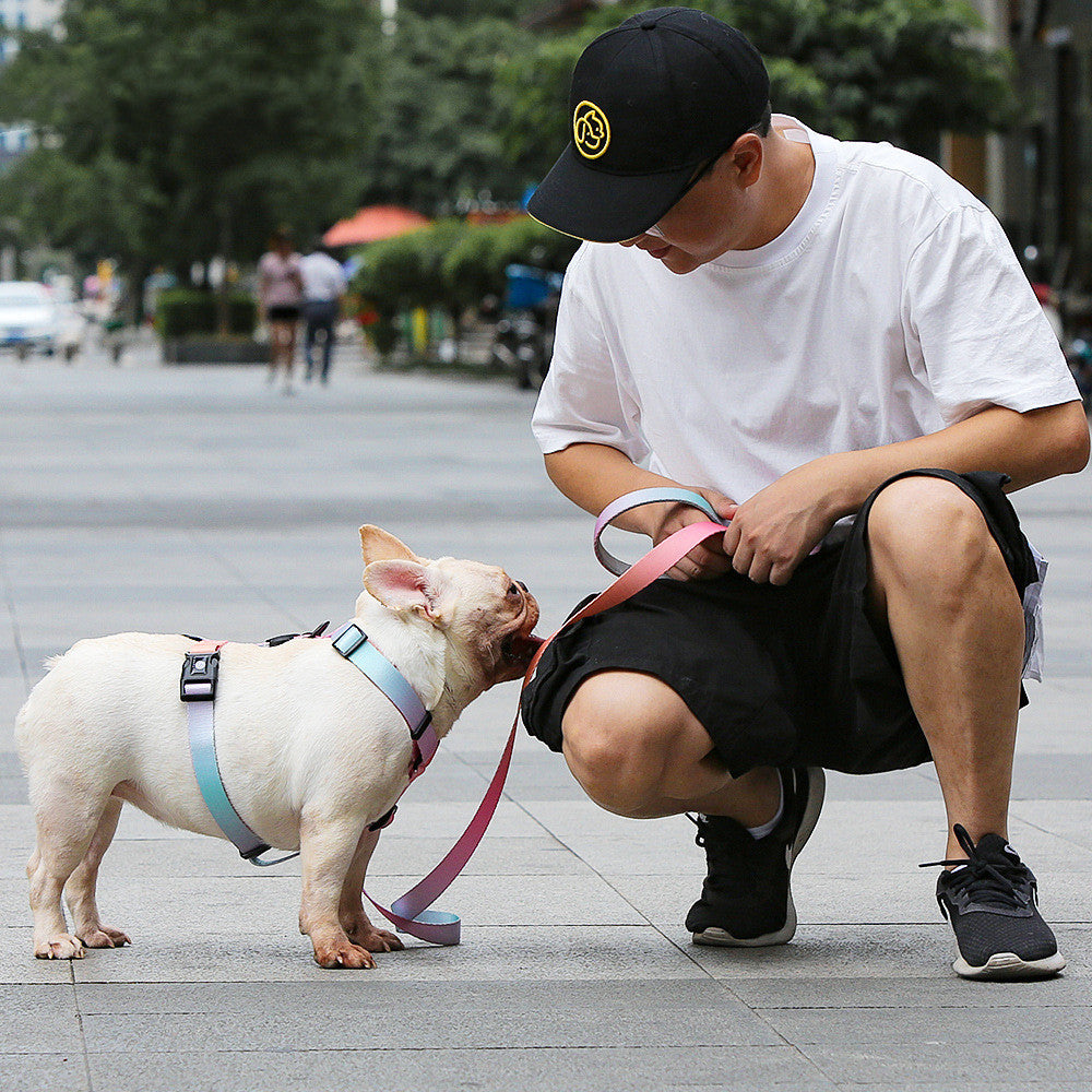 Pet Leash for Small & Medium Dogs