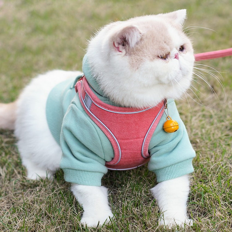 Vest-Style Cat Leash with Chest Harness for Secure Walking