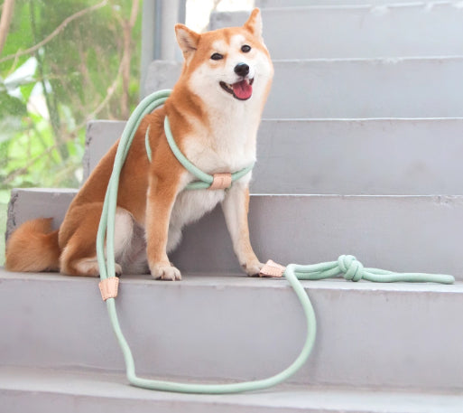 Multi-Functional Pet Chest Harness with Anti-Burst Leash for Safety