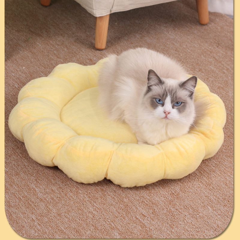 50x50cm Double-Sided Plush Petal Bed for Cats & Dogs