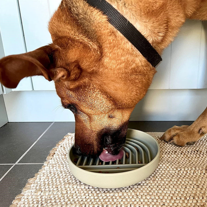 Simple Fashion Slow Feeding Bowl for Cats & Dogs