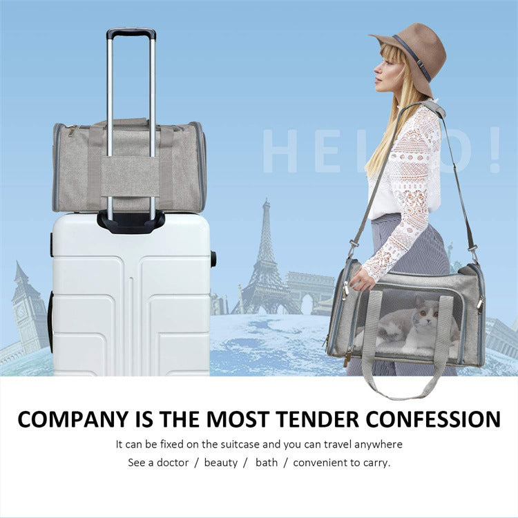 Portable Foldable Handheld Cat Carrier Bag for Travel