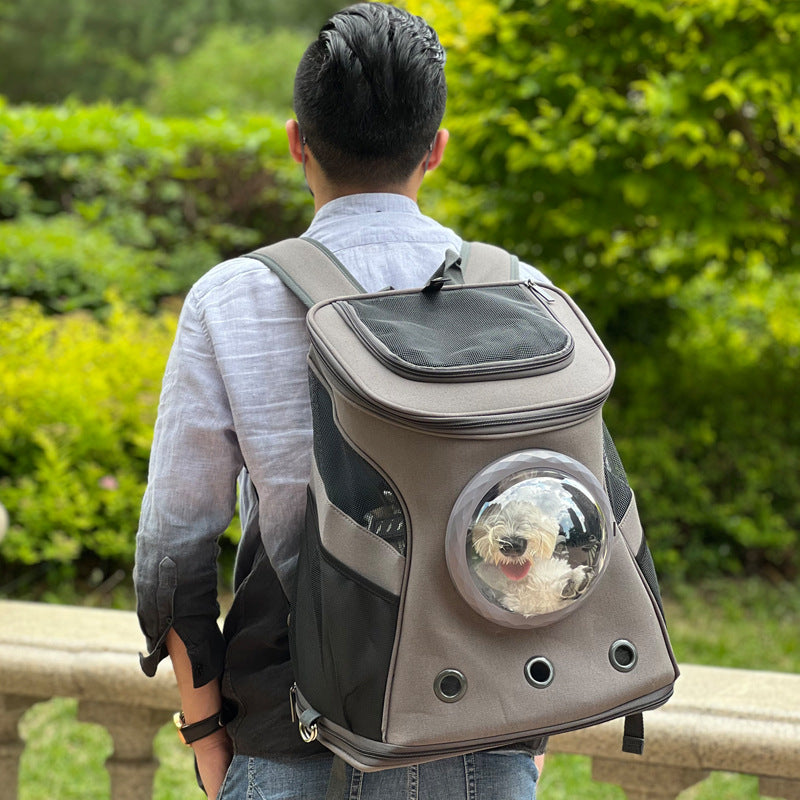 Backpack-Style Portable Carrier for Medium-Sized Cats and Dogs