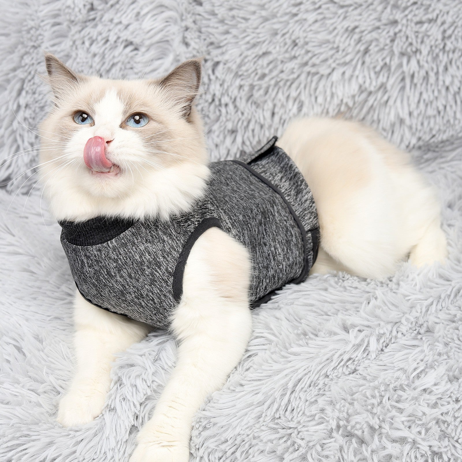 Adjustable Calming Vest for Cats Reducing Anxiety and Stress