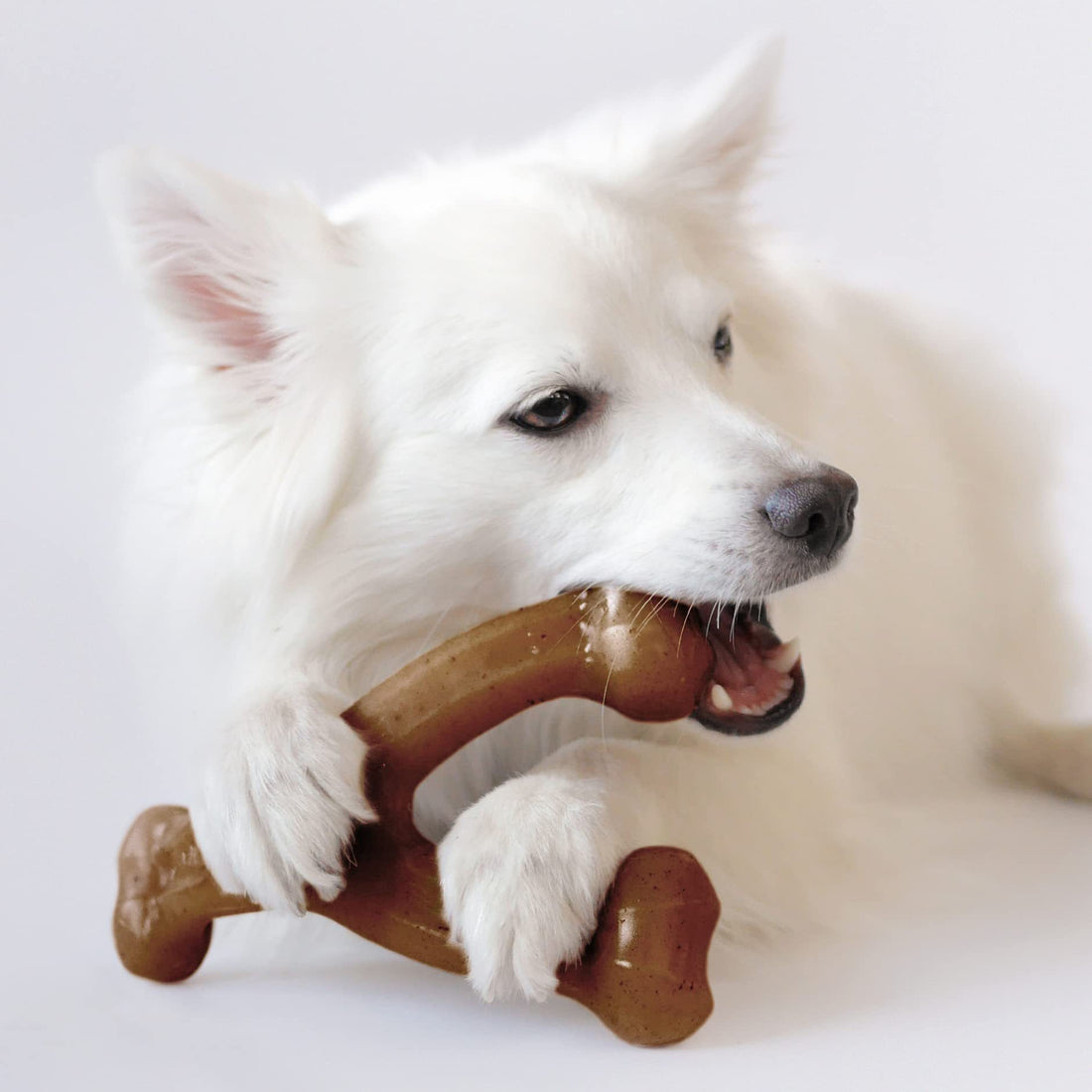 Durable Dog Bite Molar Chew Toy