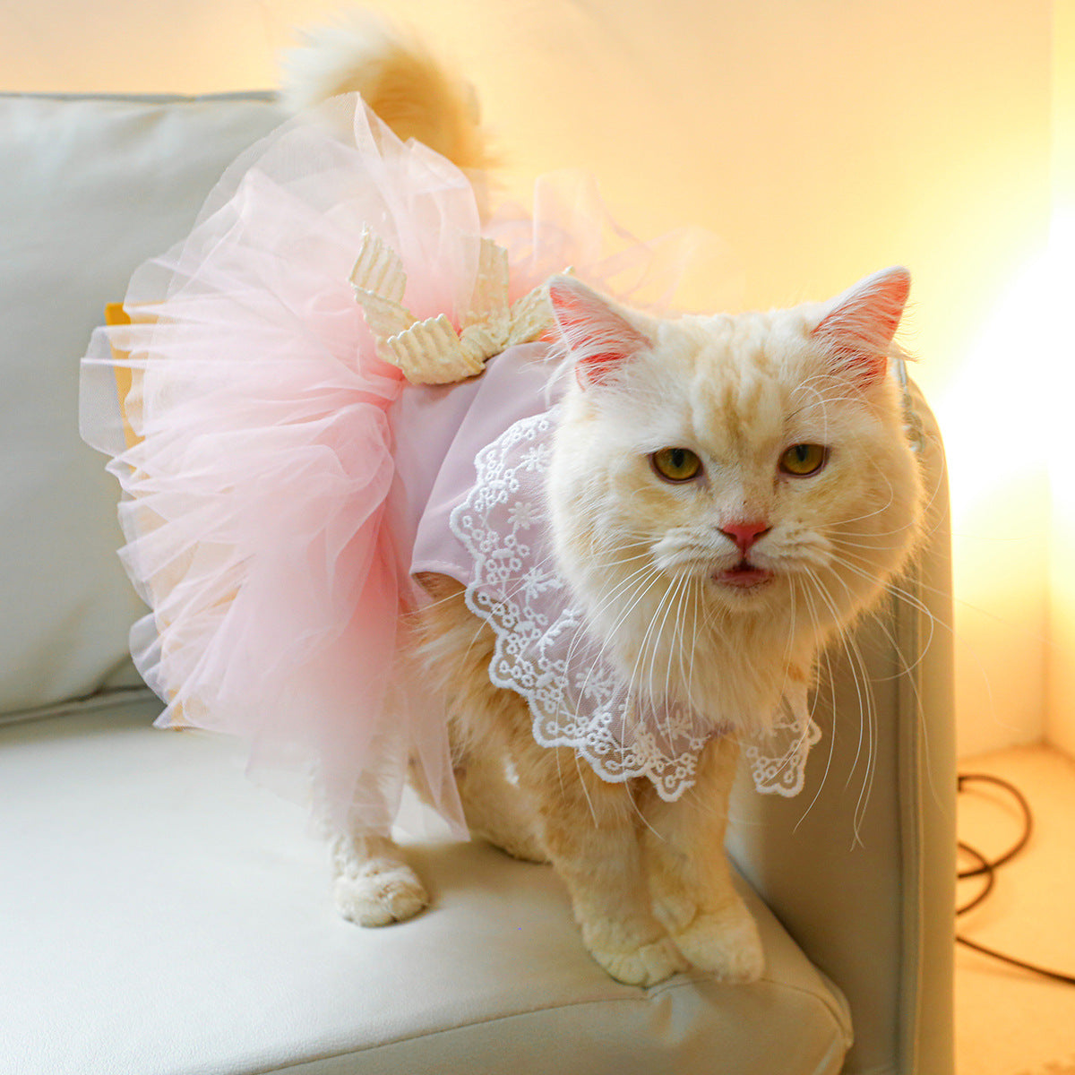 Lace-Designed Cat Clothes for Stylish and Elegant Pets