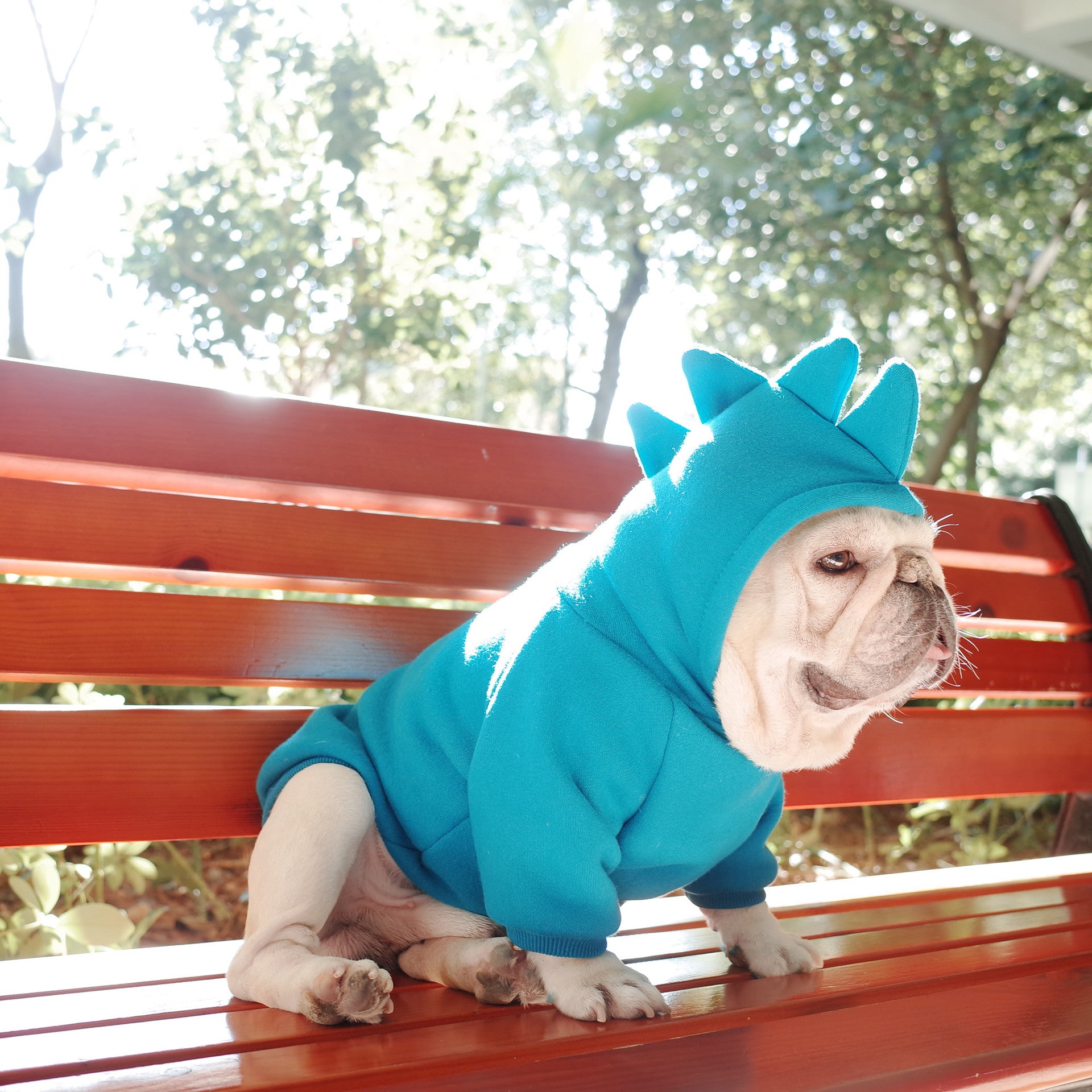 Solid Color Fleece Hoodie for Pets