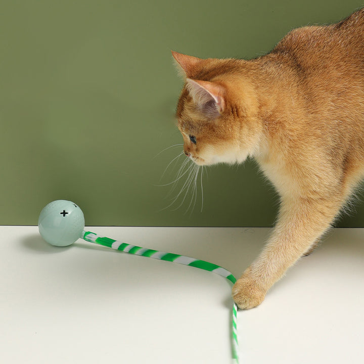 Interactive Electric Cat Ball Toy with Touch Sensor
