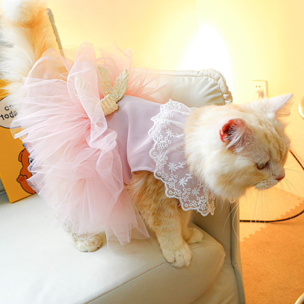 Lace-Designed Cat Clothes for Stylish and Elegant Pets