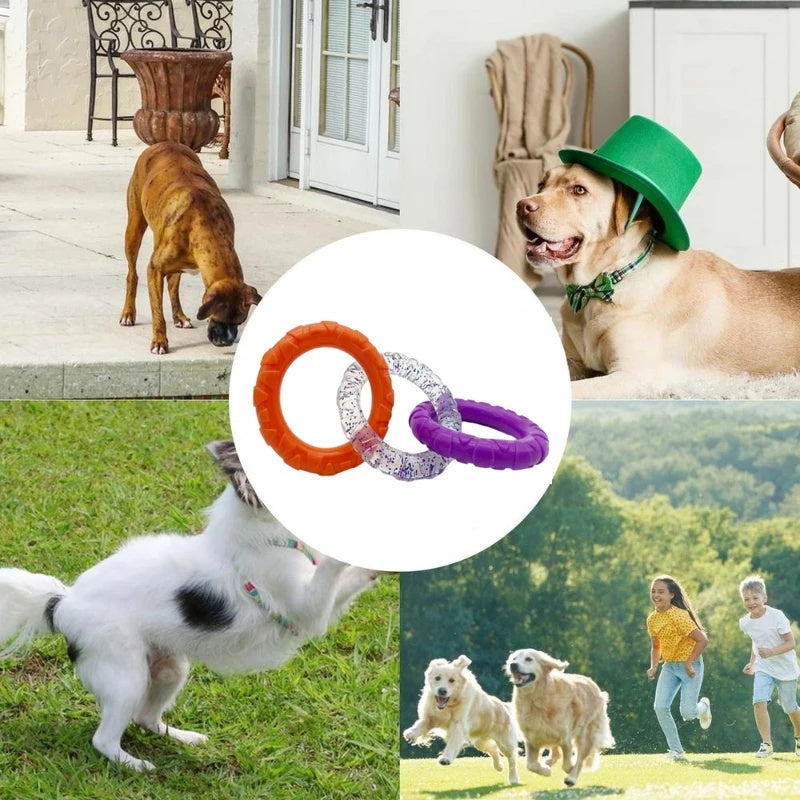 Floating Flying Disk Dog Toy for Water & Training