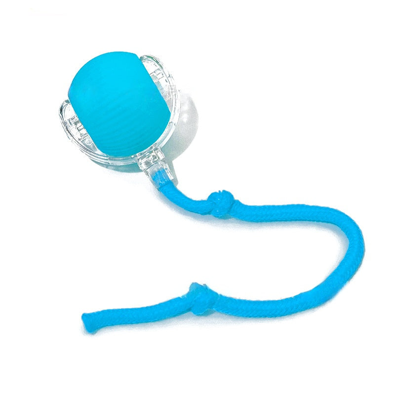 Automatic Interactive Rolling Cat Ball Toy with Rechargeable Sensor