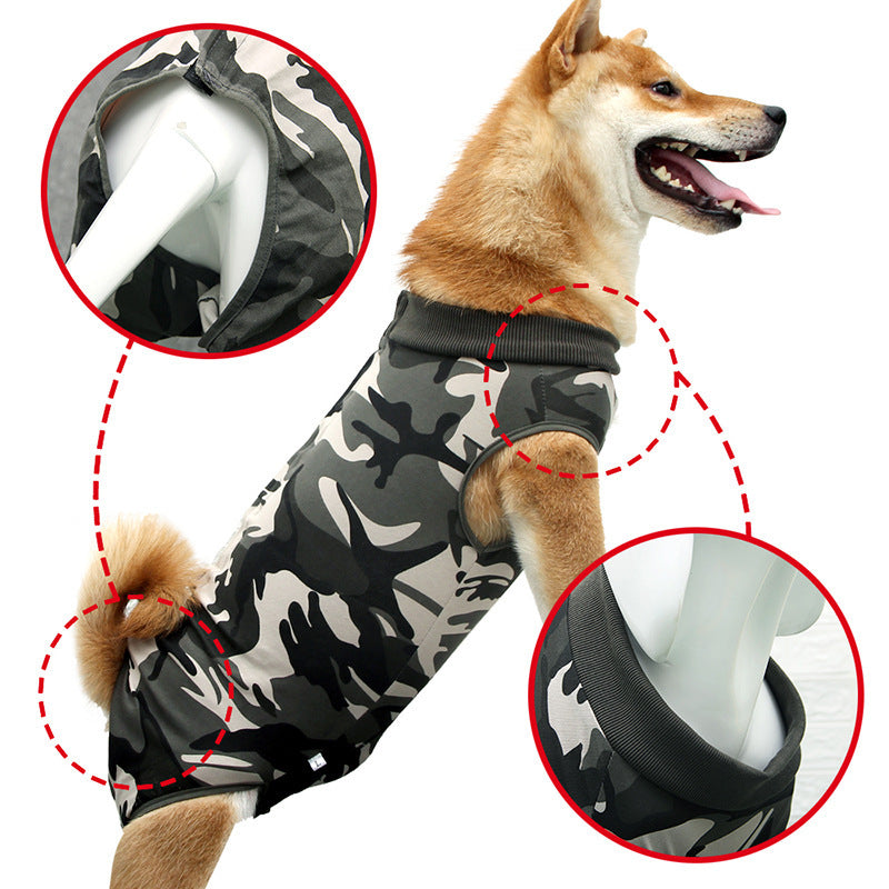 Fashionable and Colorful Pet Clothes Showing Unique Personality Style