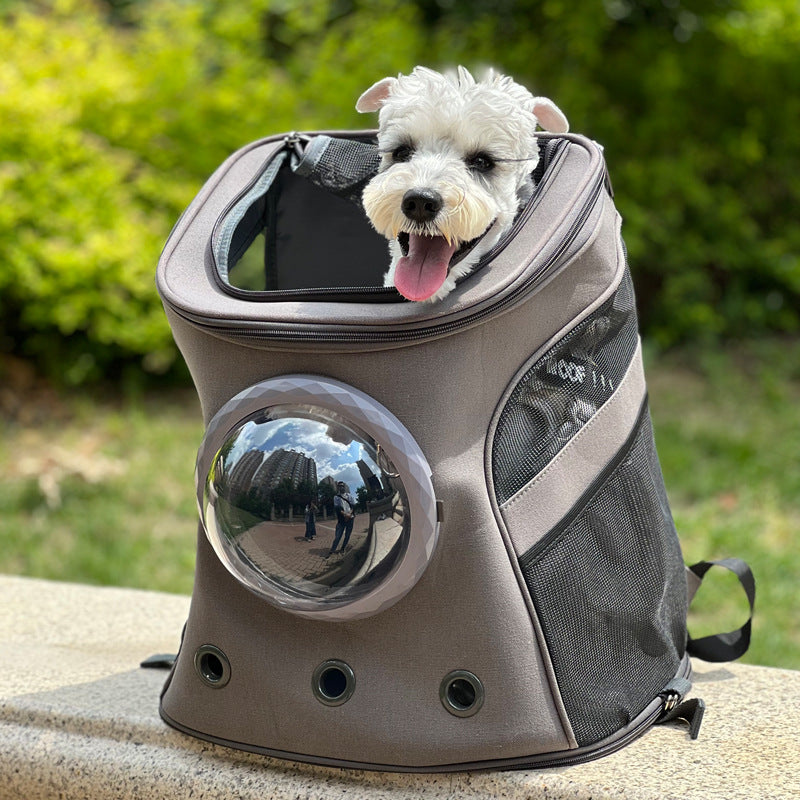 Backpack-Style Portable Carrier for Medium-Sized Cats and Dogs