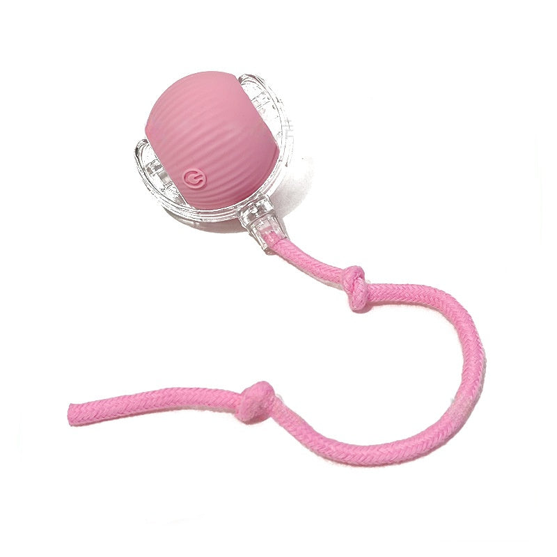 Automatic Interactive Rolling Cat Ball Toy with Rechargeable Sensor