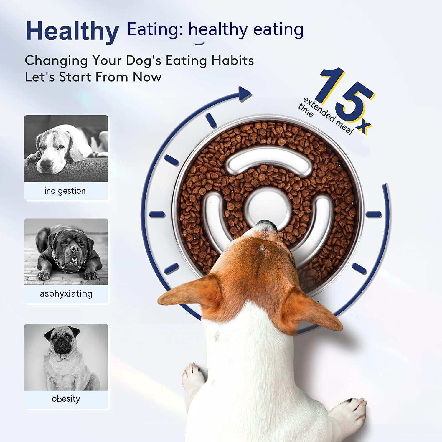 Stainless Steel Slow Feeding Bowl with Neck Protector