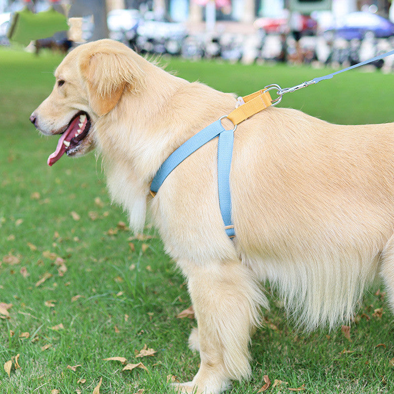 Vest-Style Dog Leash with Colorful Drawstring for Safe Walking