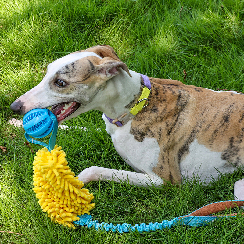 Cord Teether Tug-of-War Interactive Bite-Resistant Dog Toy