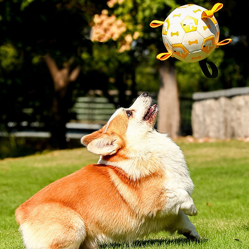 Interactive Football Dog Toy for Outdoor Molar Chewing