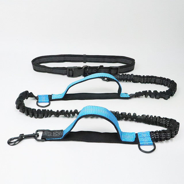 Adjustable Harness and Collar Set with Jogging-Friendly Pet Leash