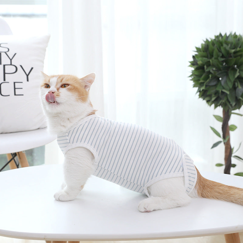 Seasonal Thin Cat Clothes Preventing Licking During Weaning Time