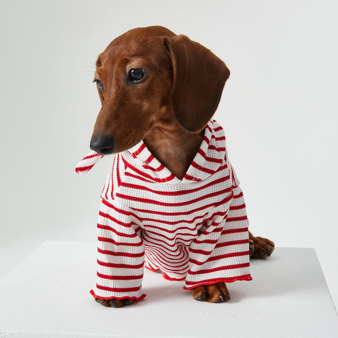 Striped Hooded Two-Leg Cat Clothes for Dogs and Cats
